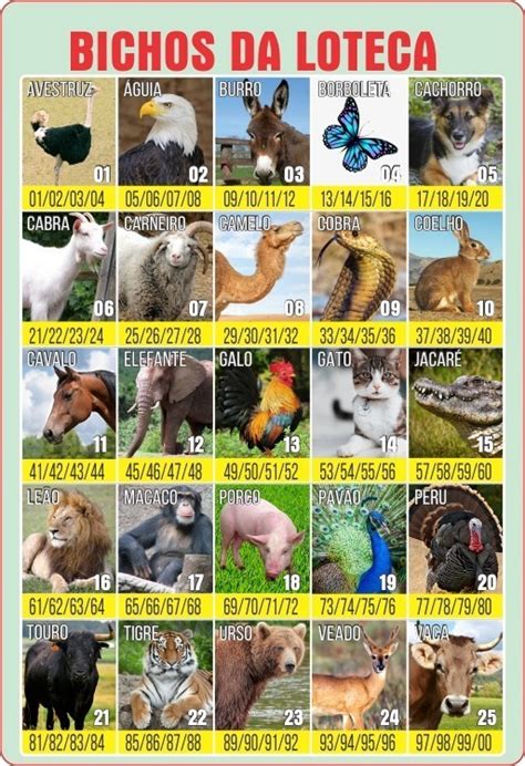 calendário jogo bicho.